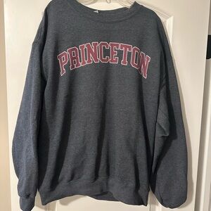 Princeton Gray Sweater